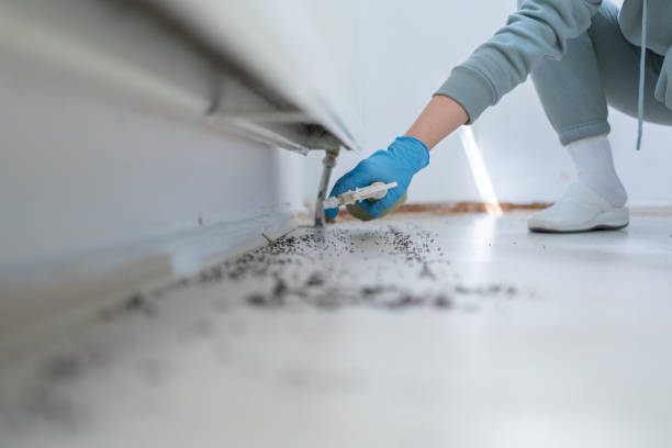 Wasp Removal Services in Jarales, NM